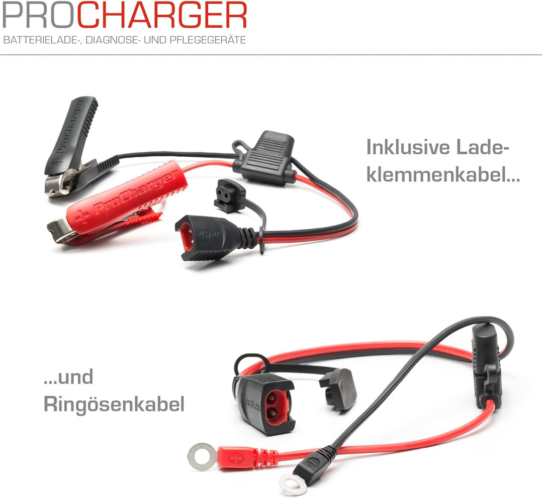 ProCharger 4.000 Diagnose- & Ladegerät Motorradbatterie & Auto, CAN Bus Fähig, Lithium Geeignet, Bat