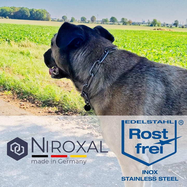 rostfreie Kombikette für Hunde - das ORIGINAL mit Zugstop - Edelstahl Hundekette Kettenhalsband kurz