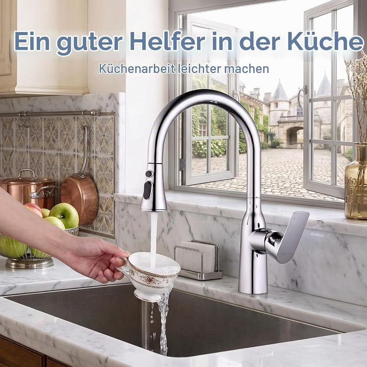 ARCORA Wasserhahn Küche Armatur Ausziehbar Küchenarmatur 360° Schwenkbar Spültischarmatur für Küchen