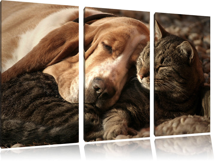 Pixxprint Katze und Hund kuschelnd als Leinwandbild/Grösse: 3 Teilig (120x80) / Wandbild/Kunstdruck/