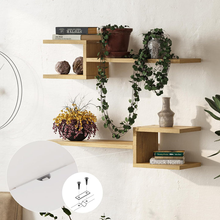 Modernes Wandregal Set mit 2 Regalen | Einzigartiges Gabeldesign | Wohnzimmer, Büro, und mehr | Buch
