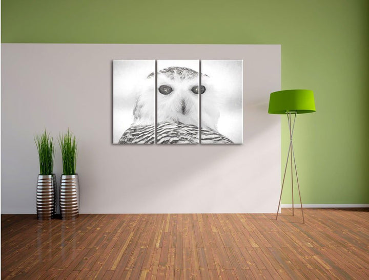 Pixxprint Schnee-Eule als Leinwandbild/Grösse: 3 Teilig (120x80) cm/Wandbild/Kunstdruck/fertig bespa