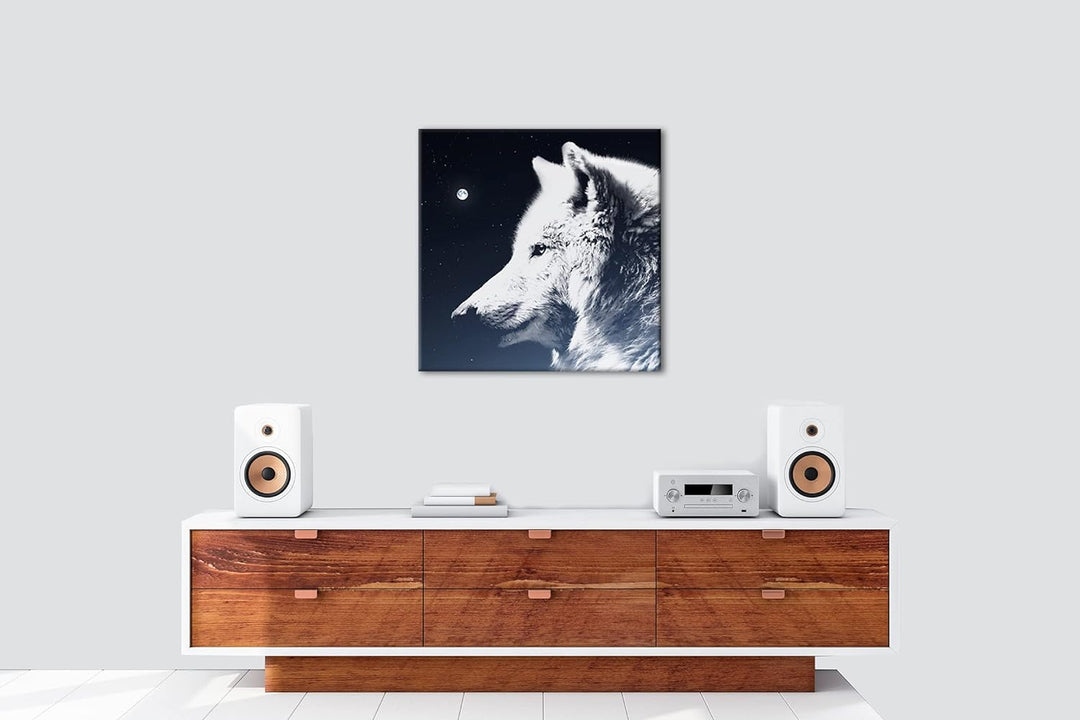 einsamer stolzer Wolf Format: 60x60 als Leinwandbild, Motiv fertig gerahmt auf Echtholzrahmen, Hochw
