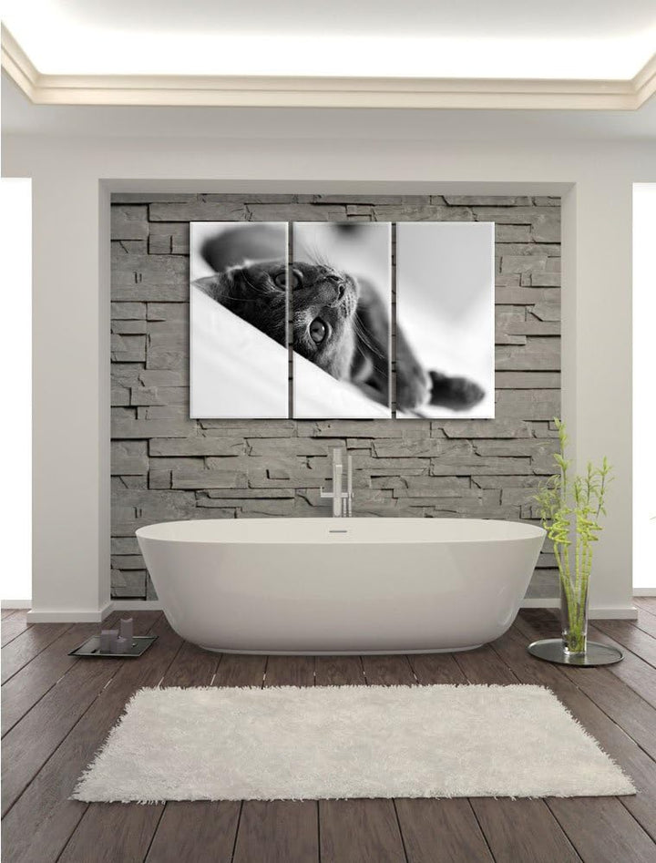 Pixxprint Niedliche Katze liegt im Bett 3-Teiler Leinwandbild 120x80 Bild auf Leinwand