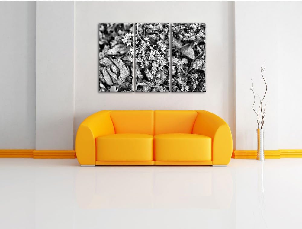 Pixxprint kleine weisse Sternblumen als Leinwandbild/Grösse: 3 Teilig (120x80) cm/Wandbild/Kunstdruc