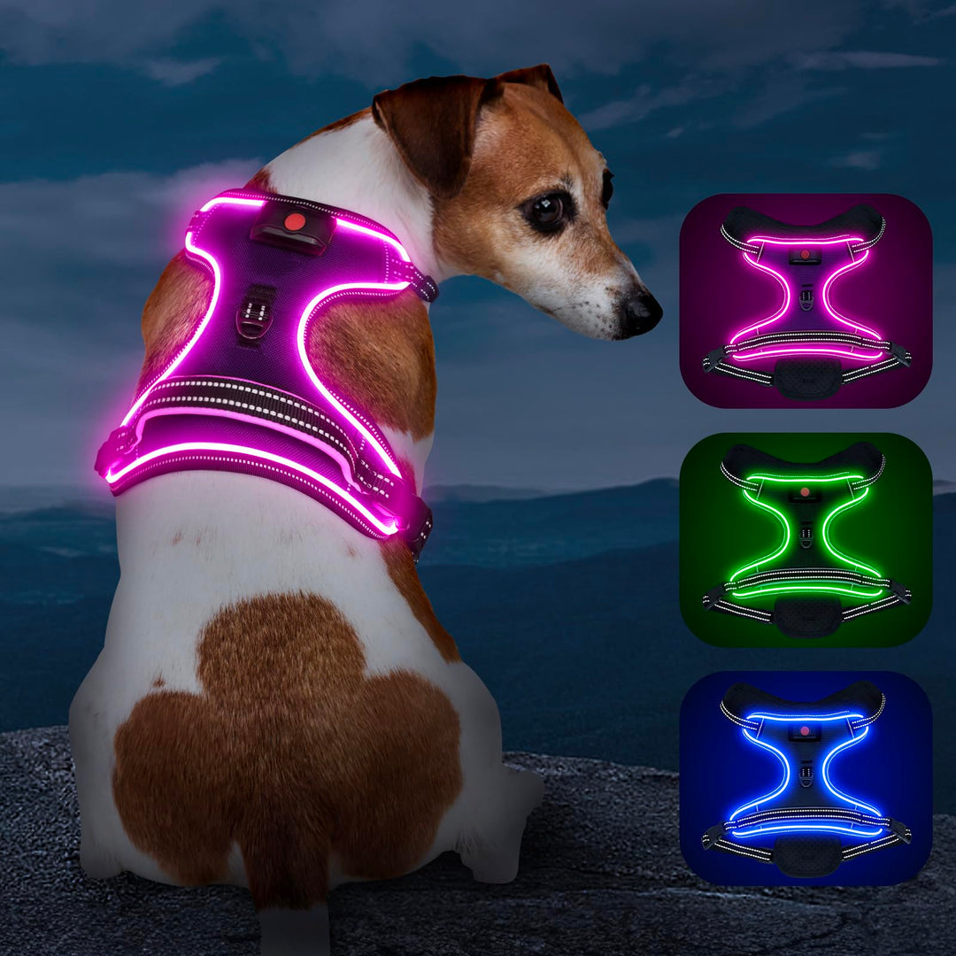 Hundegeschirr Leuchtend Wiederaufladbares Leuchtgeschirr für Hunde Led Beleuchtetes Hundegeschirr fü