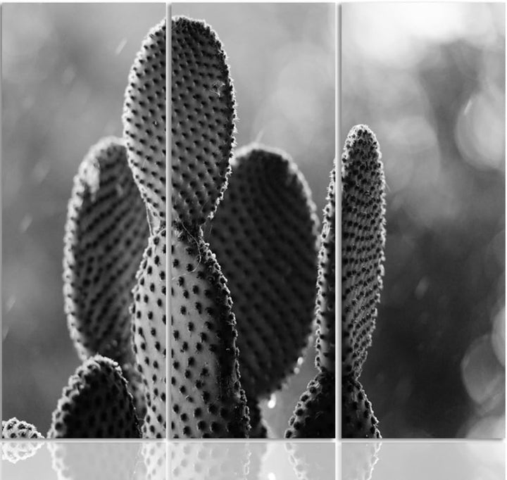 Feeby. Wandbilder - 3 Teile - Gedrucktes Bild, Foto, Kunstdrucke, Deko Panel, 3-Teilig, Foto, Typ C,