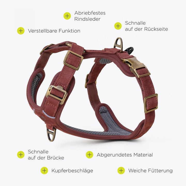 Lord Leder Hundegeschirr mit Guard-Konstruktion, Natürliche Rindsleder, für Sehr Kleine Hunde und We