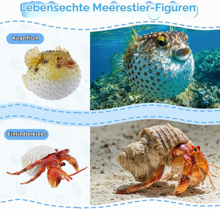 TOYMANY 16 Stück Meerestierfigurenset Ocean Spielfiguren Spielzeug 16Stück Meerestiere, 16Stück Meer