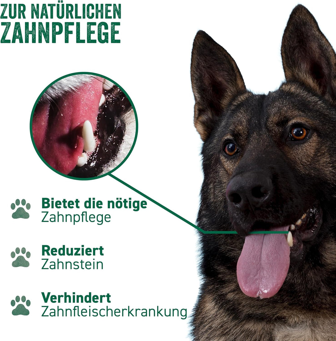 Pet's Up Products Ltd GoodWood Chewable Sticks für Hunde gross