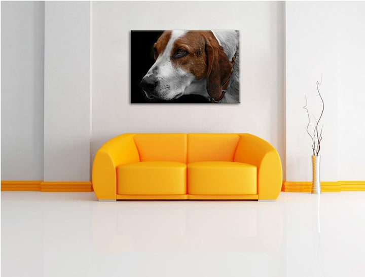 Dark hübscher Hund im Seitenprofilauf Leinwand, XXL riesige Bilder fertig gerahmt mit Keilrahmen, Ku