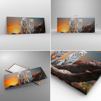 Panorama Bilder auf Leinwand 100x40cm Leinwandbild Tiger weiss Rock Sonnenuntergang Gross Wanddeko B