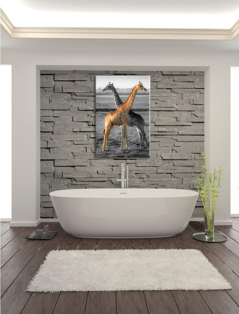 schöne Giraffen in der Steppe schwarz/weiss Format: 100x70 auf Leinwand, XXL riesige Bilder fertig g