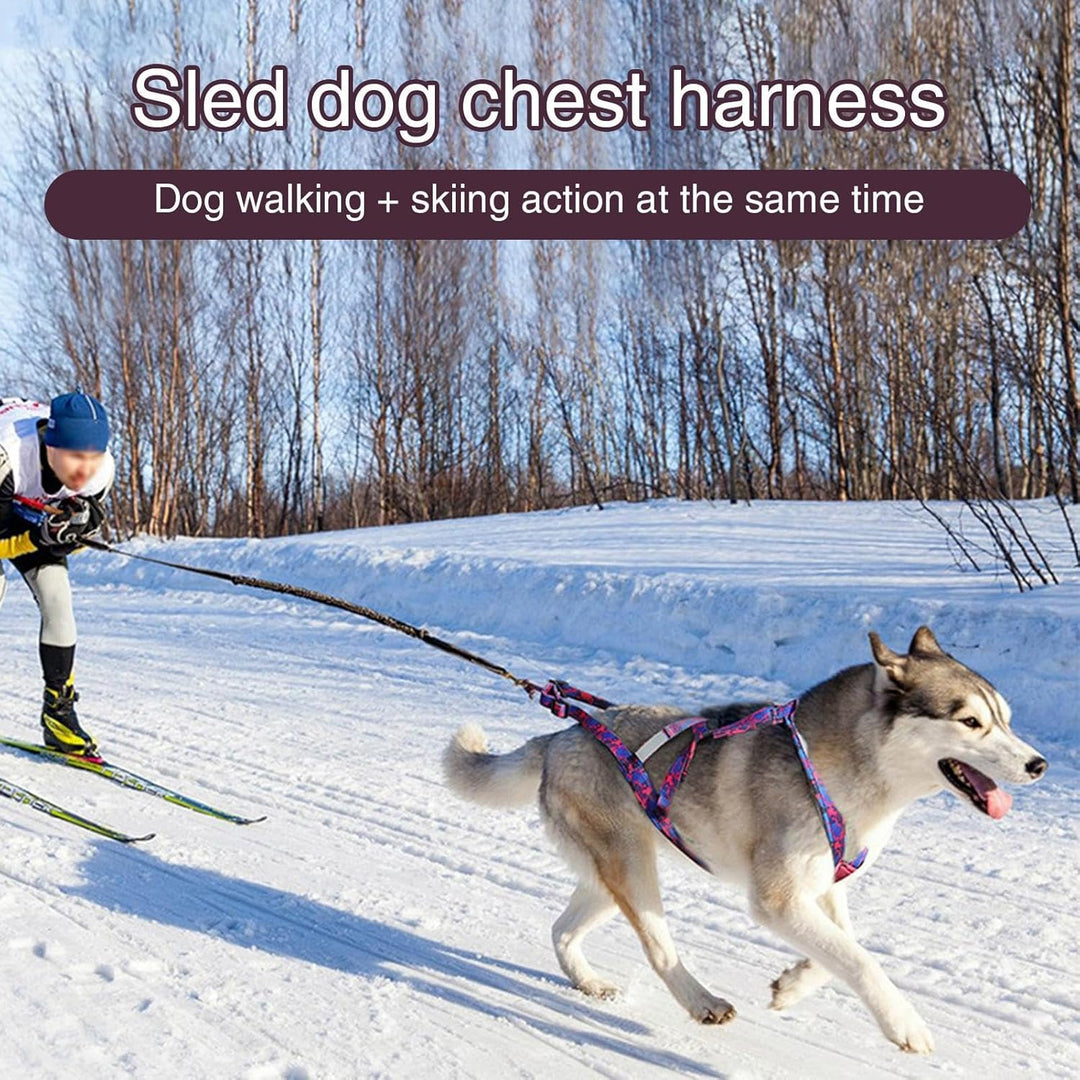 Zuggeschirr für Hunde - Welpengeschirr Verstellbares Reflektierendes Hundegeschirr - Atmungsaktives