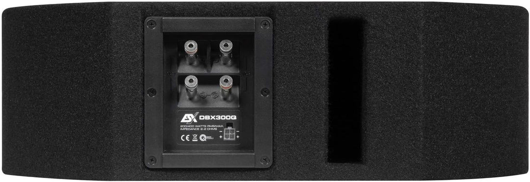 ESX B-Ware DBX300Q | 15 x 23 cm (6 x 9') Bassreflex-System für die Reserverad-Mulde