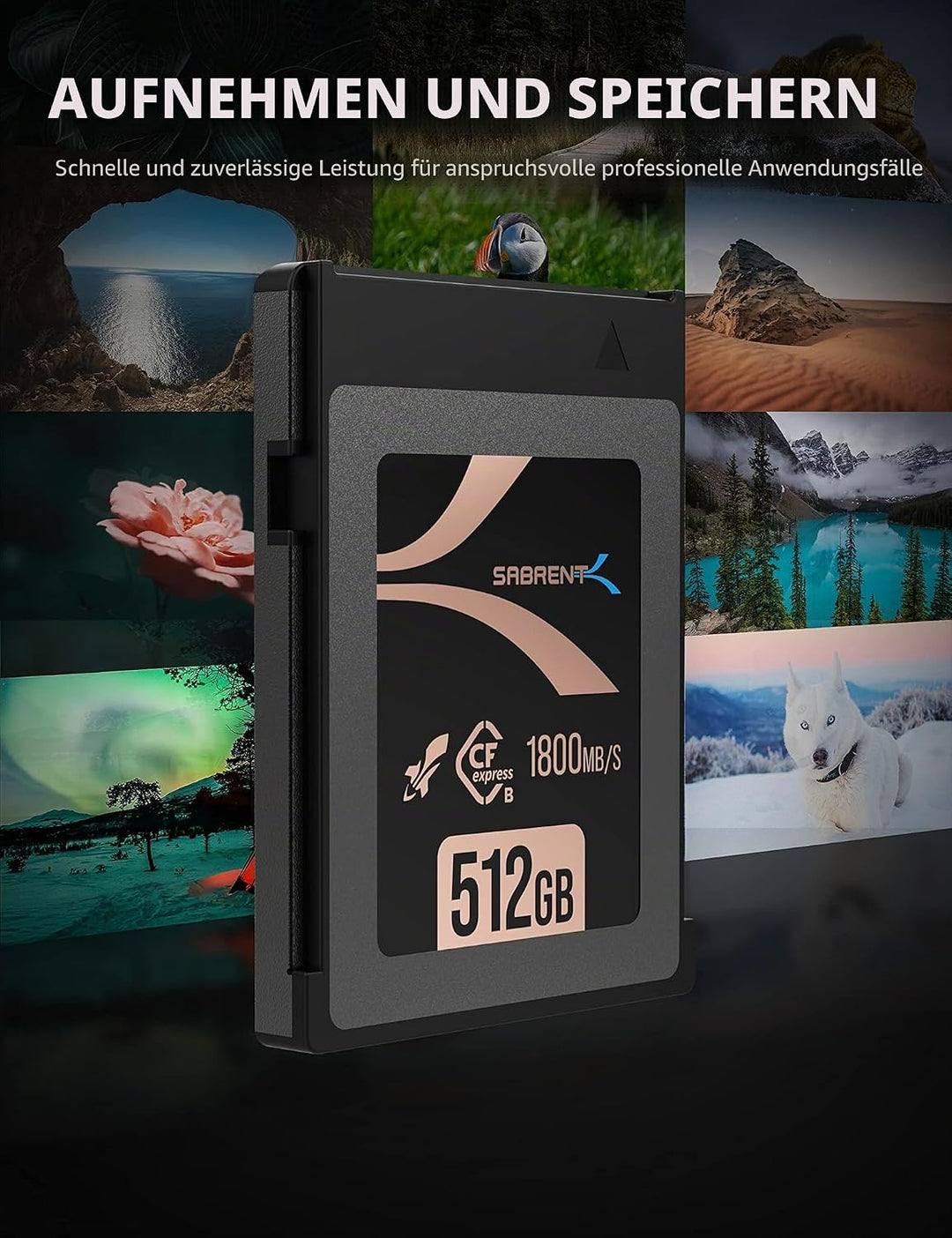 SABRENT CFexpress Speicherkarte Typ B 512GB (1800 MB/s Lesen, 1700MB/s Schreiben, cf Express Memory