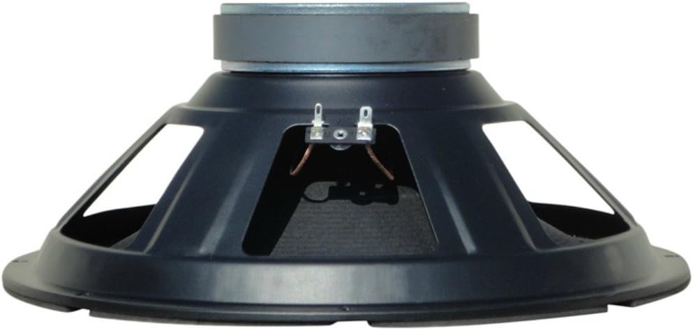 1 WEB W-128 Lautsprecher niedrige mid woofer Diffuser 30,00 cm 300 mm 12" von 125 watt rms 250 watt