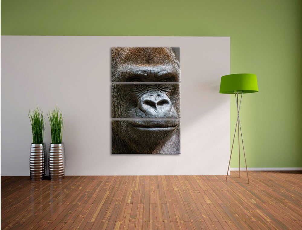 Pixxprint stolzer Gorilla als Leinwandbild/Grösse: 3 Teilig (120x80) / Wandbild/Kunstdruck/fertig be