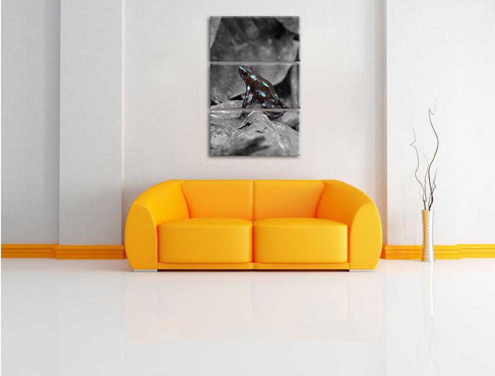 Pixxprint Baumsteiger Frosch als Leinwandbild/Grösse: 3 Teilig (120x80) cm/Wandbild/Kunstdruck/ferti