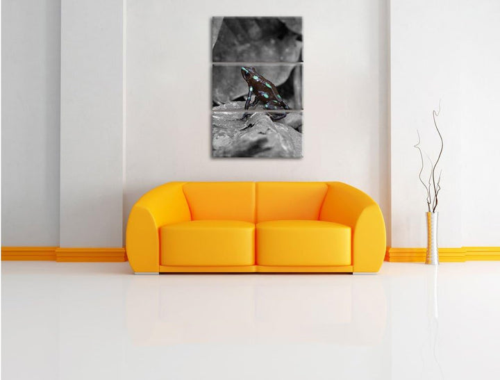 Pixxprint Baumsteiger Frosch als Leinwandbild/Grösse: 3 Teilig (120x80) cm/Wandbild/Kunstdruck/ferti