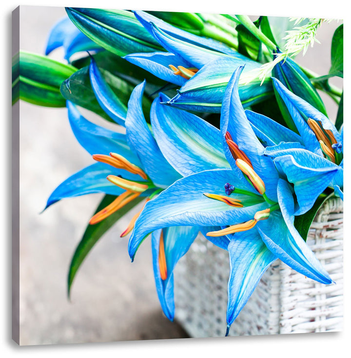 Pixxprint schöne Blaue Blumen im Körbchen, Format: 70x70 auf Leinwand, 70x70