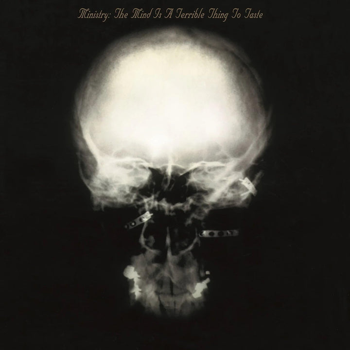 Mind Is a Terrible Thing to Taste, Vinyl