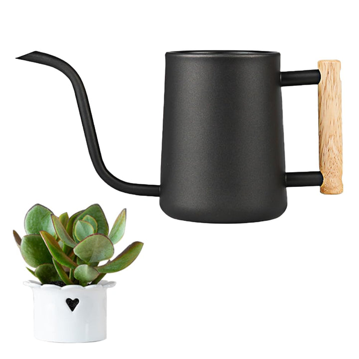 LPAMABA 1L Indoor Giesskanne Edelstahl Giesskanne Klein GiesskanneGiesskanne für Zimmerpflanzen Sukk