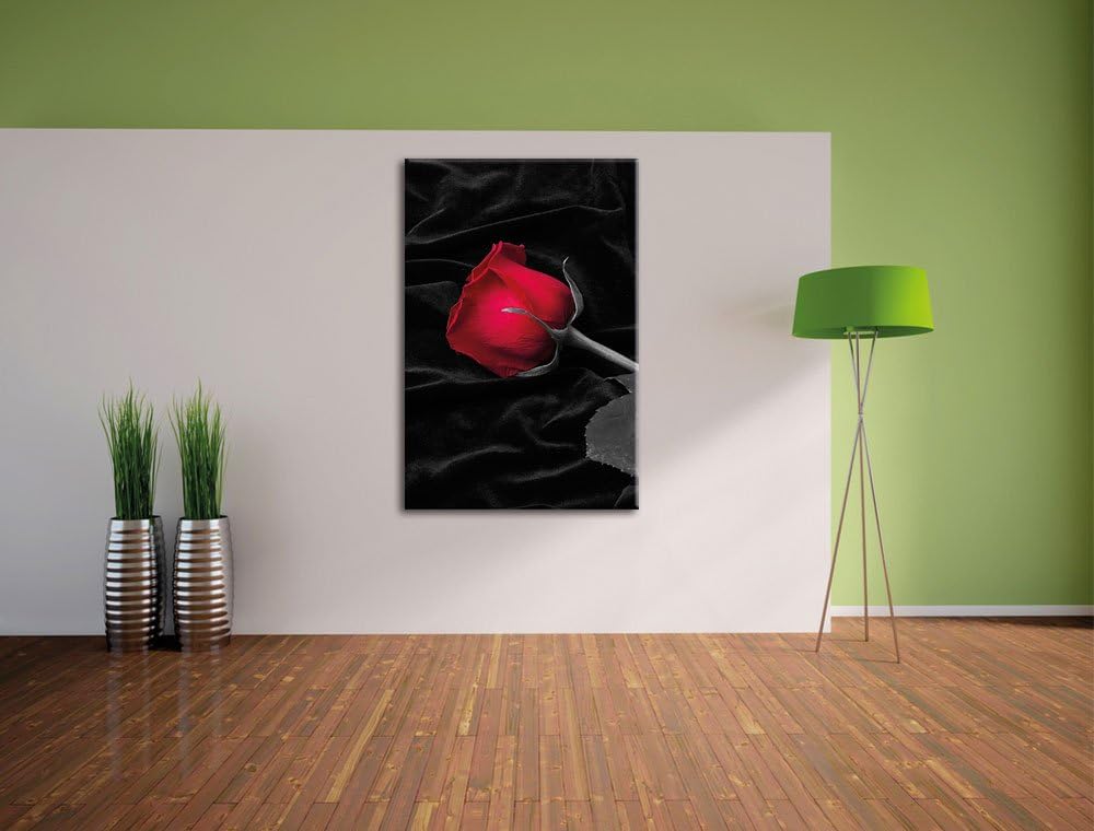 Pixxprint rote Rose gebettet auf schwarzem Samt als Leinwandbild/Grösse: 100x70 cm/Wandbild/Kunstdru