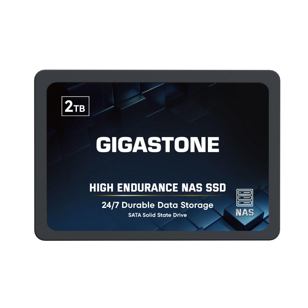 Gigastone Enterprise SSD 2TB NAS SSD Drive Cache 24/7 High Endurance Business Server Creative Profes
