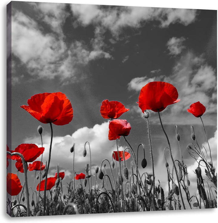 Pixxprint Wiese mit Blumen / 70x70cm Leinwandbild bespannt auf Holzrahmen/Wandbild Kunstdruck Dekora