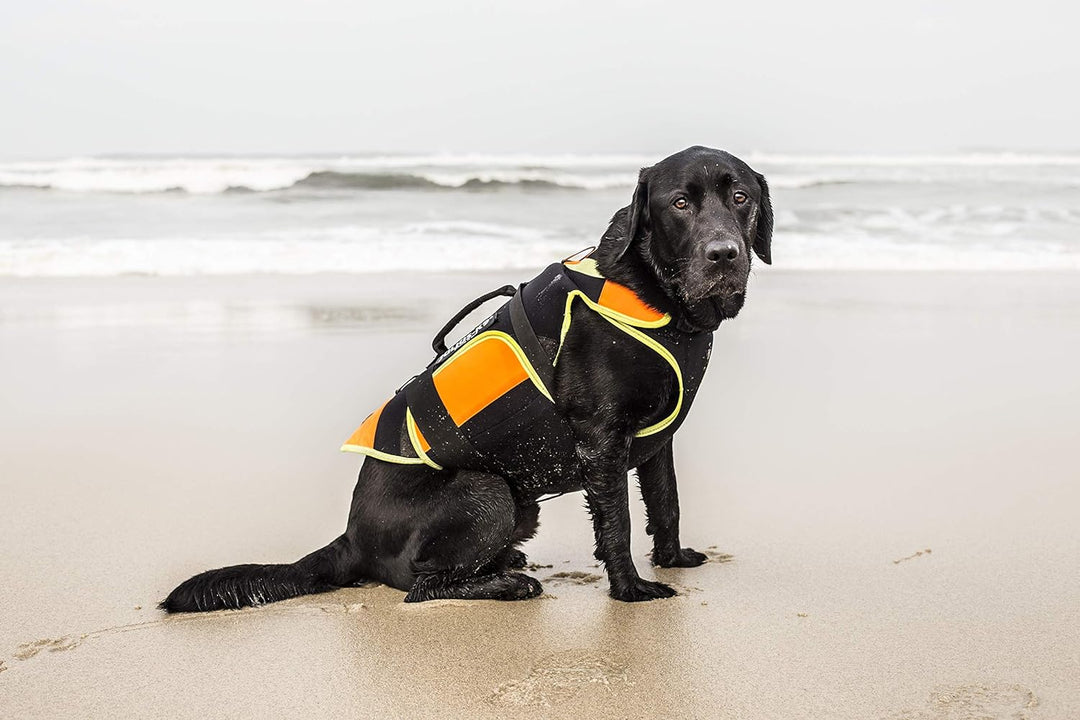 Julius-K9, IDC Multifunktionale Hundeweste 3in1, Grösse: L, Schwarz und UV Orange L Schwarz und Neon