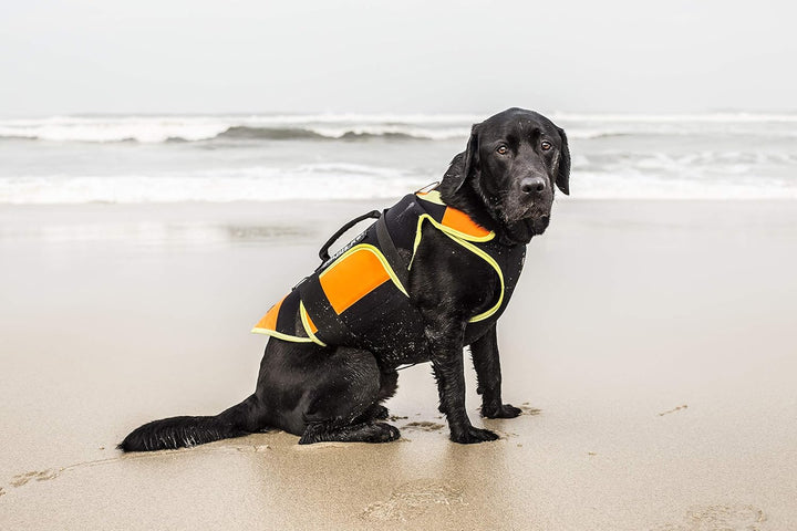 Julius-K9, IDC Multifunktionale Hundeweste 3in1, Grösse: L, Schwarz und UV Orange L Schwarz und Neon