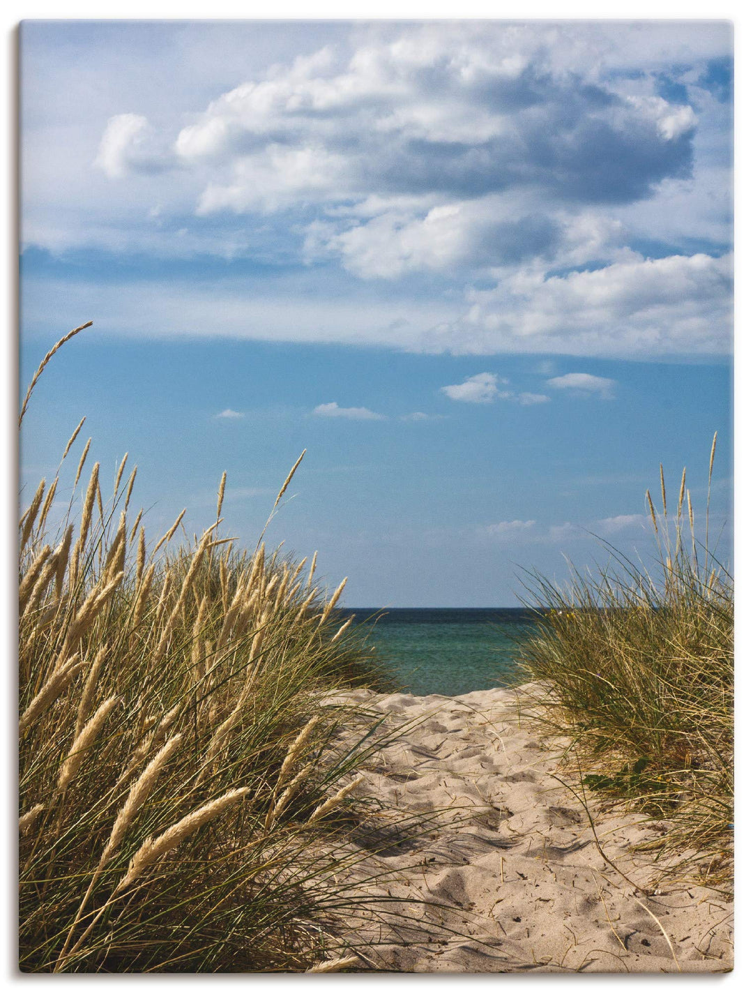 ARTland Leinwandbilder Wandbild Bild auf Leinwand 60x80 cm Wanddeko Strand Meer Küste Düne Gräser Hi
