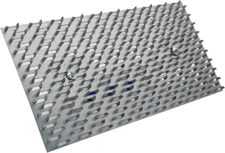 DEWEPRO Edelputzkratzer 250 x 130 mm für Mineralputz | Putzkratzer mit gezahnter Metallplatte, ca. 7