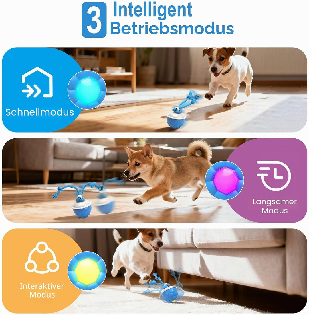 Interaktives Hundespielzeug, Interaktiver Spielball für Hunde mit Seil, gibt Vogelgeräusche von Sich