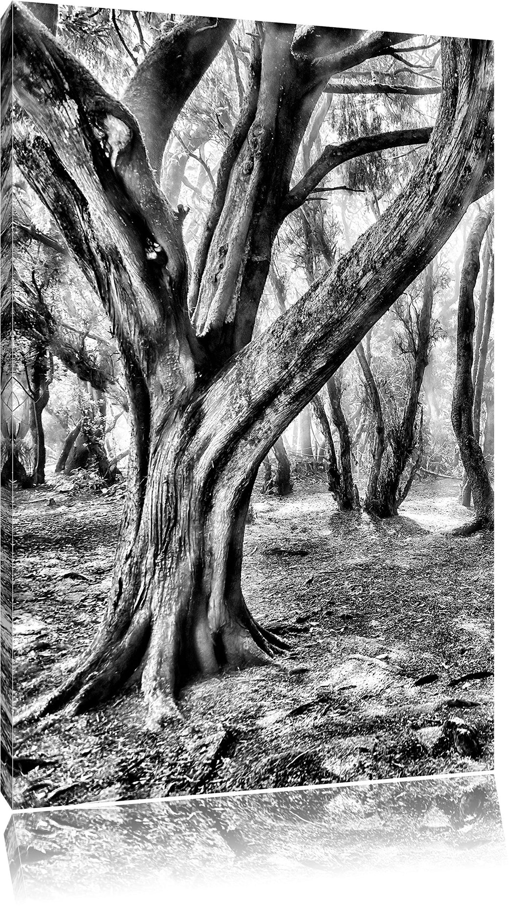 Monocrome, Wald, Format: 100x70 auf Leinwand, XXL riesige Bilder fertig gerahmt mit Keilrahmen, Kuns