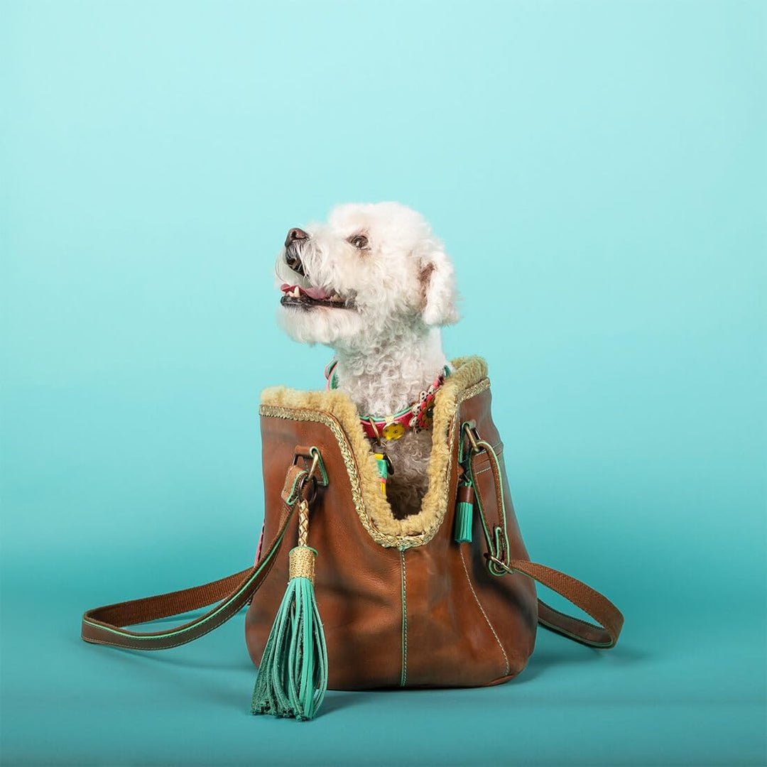 DWAM Dog with a Mission - Hundetragetasche - Hundetasche - Tragetasche für Hunde - Hundetrage - Tier
