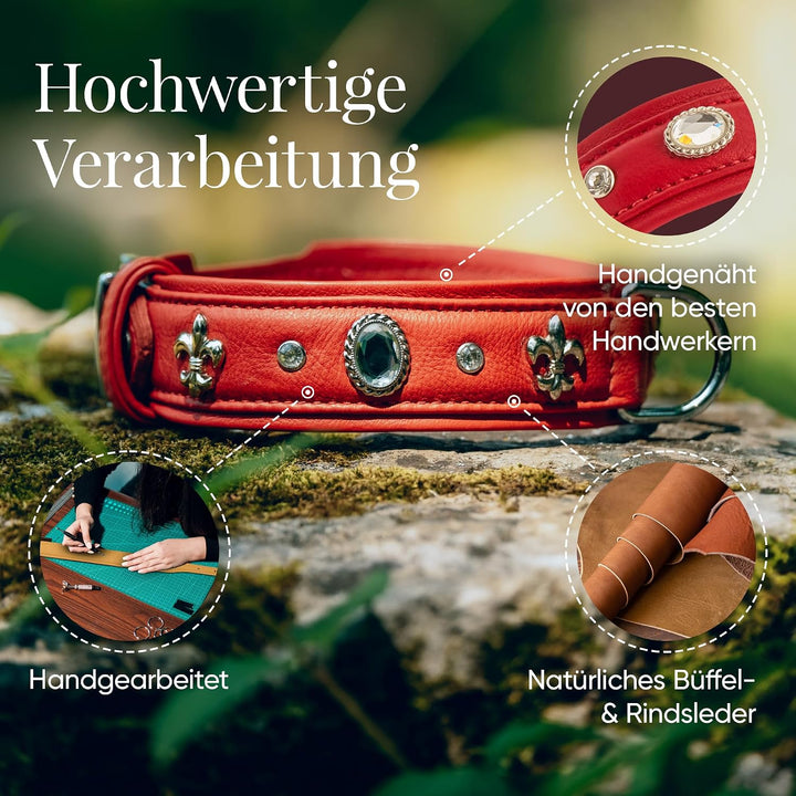MICHUR Julieta Hundehalsband Leder, Lederhalsband Hund, Halsband, Rot, Leder, mit Lilien, Strassstei