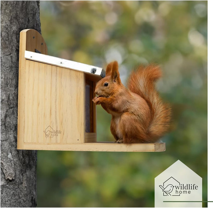 WILDLIFE HOME Eichhörnchen Futterhaus XL mit Metalldach I Futterstation aus verschraubtem Massiv-Hol