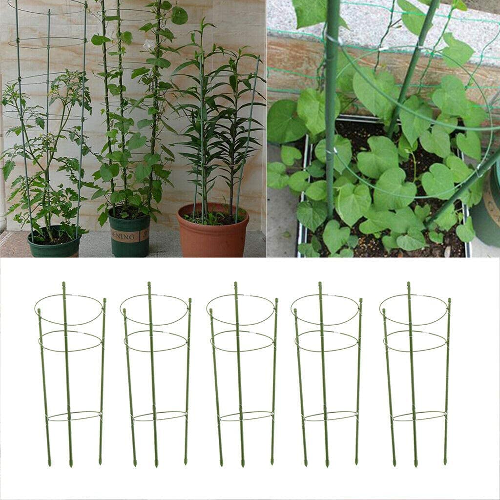 Gurkenturm Tomatenturm - Rankhilfe für Tomaten und Gurken, 45/60cm 5 Stück (H: 45cm)