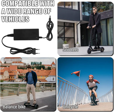 LUFEIS Ladegeräte für Scooter, Hoverboard Ladekabel, E Scooter Ladegerät, Universal-Ladegerät mit 6