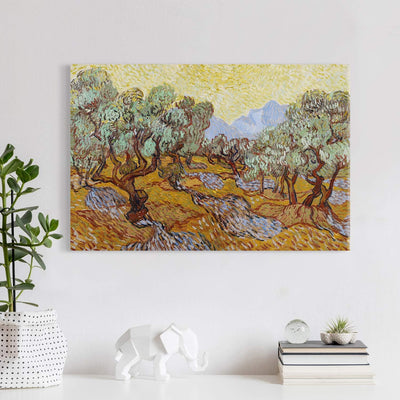 PICANOVA – Vincent Van Gogh Olive Trees 60x40 cm – Bild auf Leinwand – Leinwandbild – Premium Leinwa