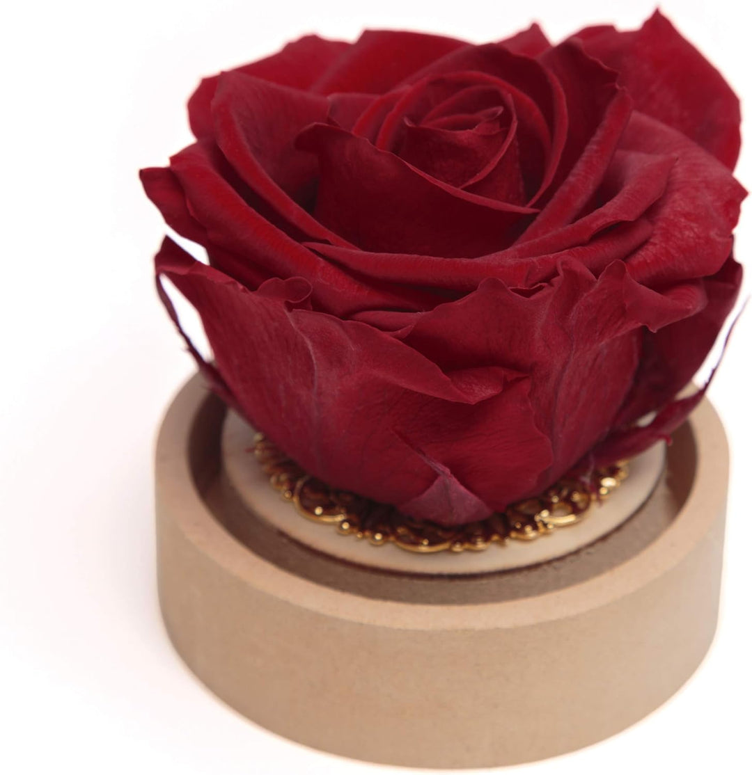 ROSEMARIE SCHULZ Heidelberg Infinity Rose im Glas echte haltbar langlebige Rose in Glaskugel (Large,