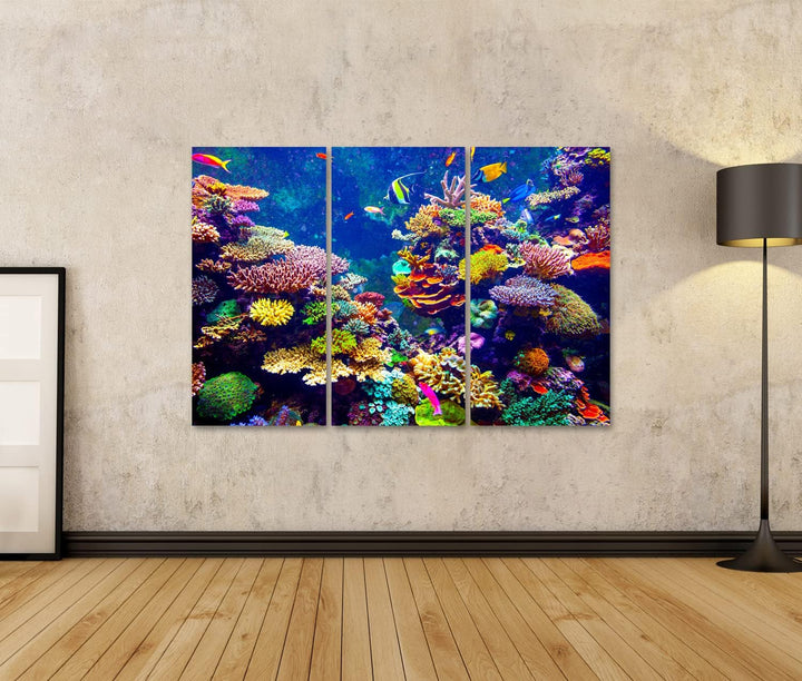 islandburner Bild auf Leinwand Singapur Aquarium Korallenriff Tropische Fische Sonnenlicht Wandbild