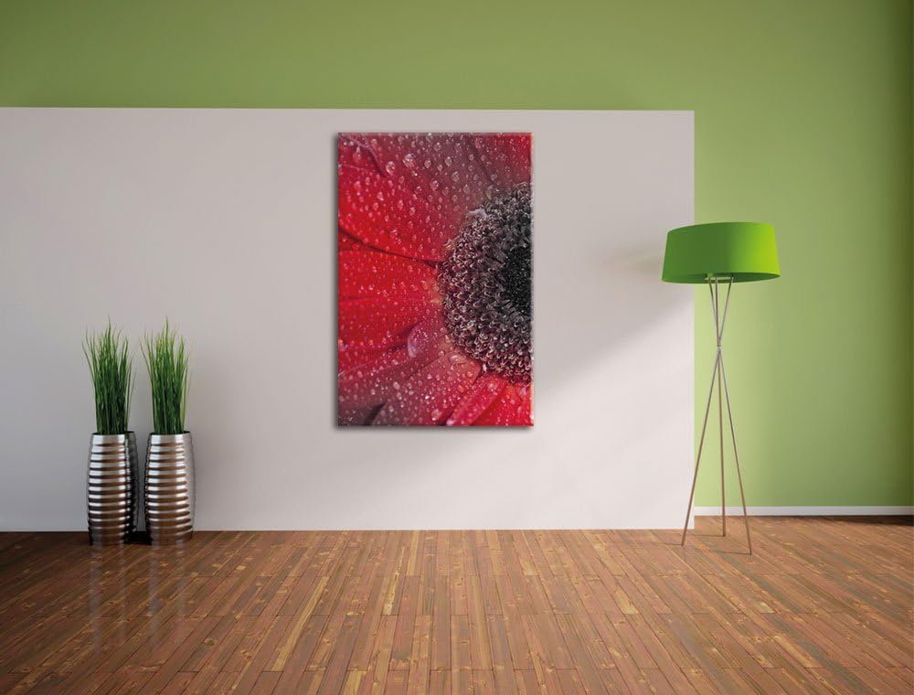 Pixxprint Rote Gerbera mit Wassertropfen als Leinwandbild/Grösse: 120x80 cm/Wandbild/Kunstdruck/fert