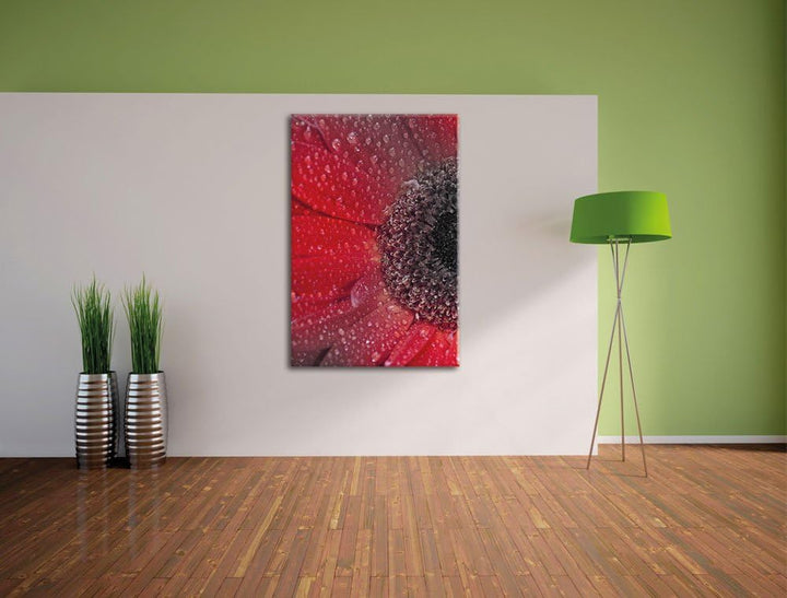 Pixxprint Rote Gerbera mit Wassertropfen als Leinwandbild/Grösse: 120x80 cm/Wandbild/Kunstdruck/fert