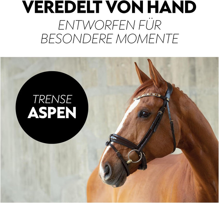 SUNRIDE schwedische Trense Aspen mit Zügel, aus weichem Echtleder mit Lack, verstellbar und anatomis
