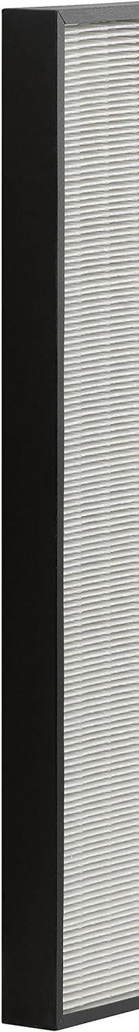 Rowenta HEPA-Filter XD6070F0 Intense Pure