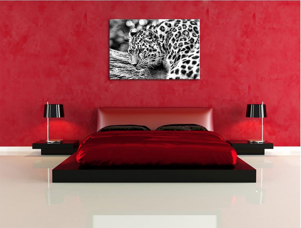 Pixxprint Monocrome, aufmerksamer Leopard auf Baumstamm, Format: 100x70 auf Leinwand, XXL riesige Bi
