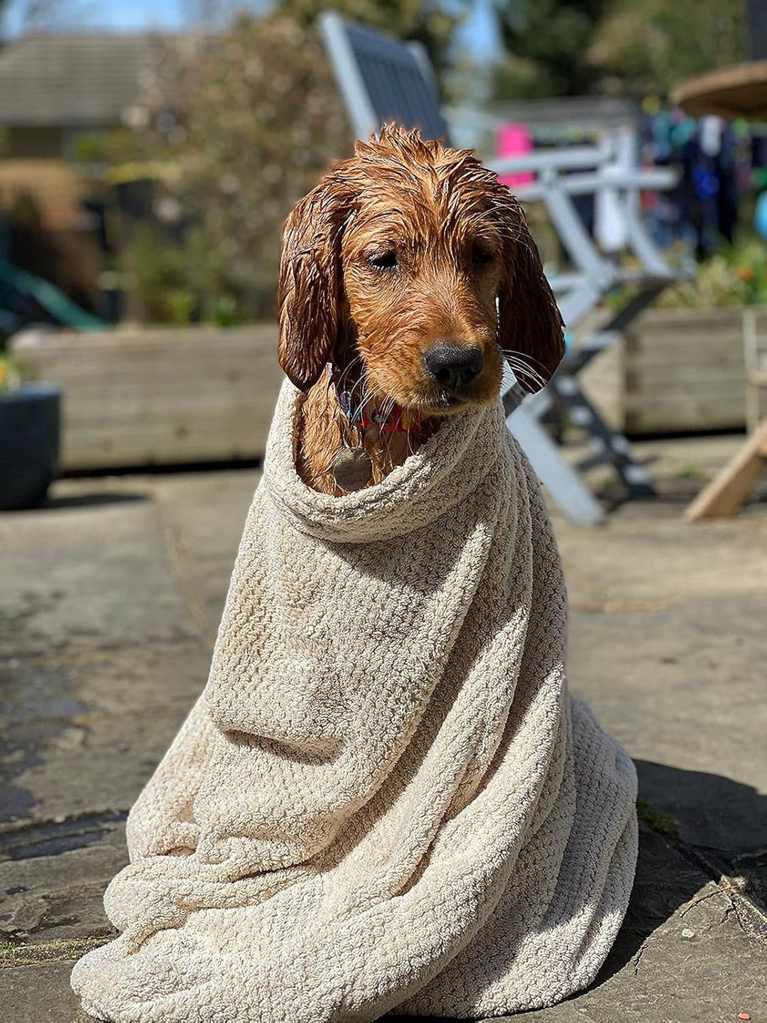pet wiz Premium Mikrofaser Hunde-Trockentasche, super saugfähig und schnell trocknend, Bademantelhan